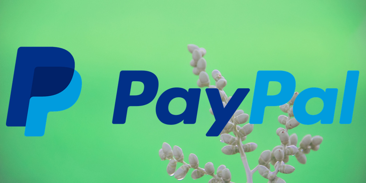 PayPal payment method