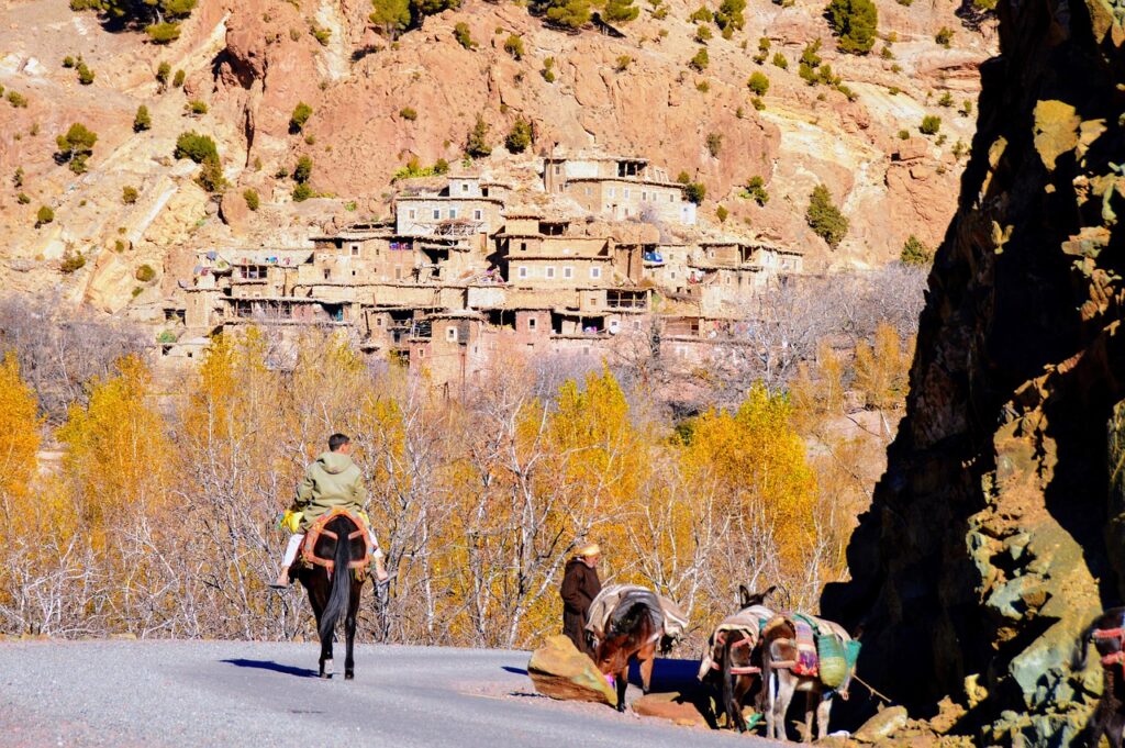 Berber village

